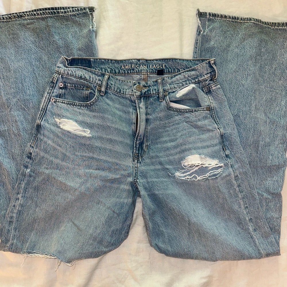 American Eagle Baggy Wide Leg